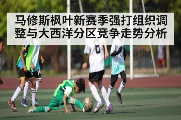马修斯枫叶新赛季强打组织调整与大西洋分区竞争走势分析